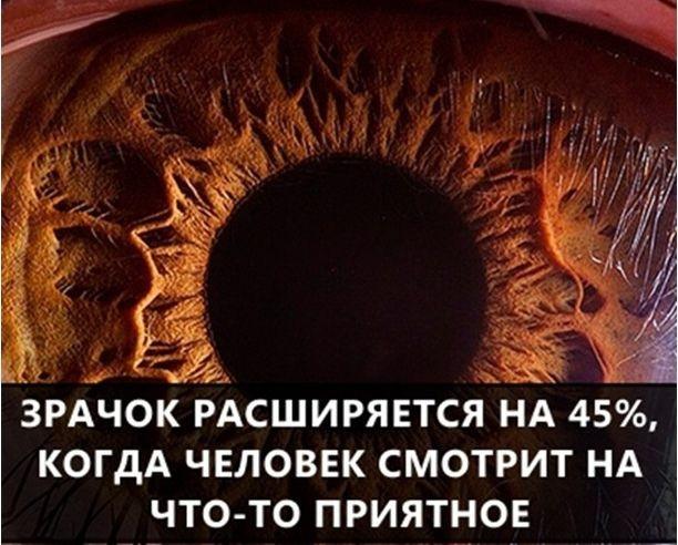 Самые интересные факты в мире в картинках