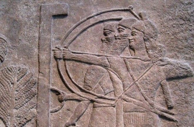 Смелость жестокость тактика 10 фактов об ассирийской армии наводившей ужас на половину мира