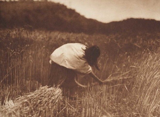 19041924 годы жизнь североамериканских индейцев в фотографиях Эдварда Кёртиса