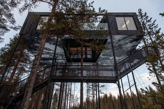 Удивительный отель на дереве в диком лапландском лесу Отель дерево швеция