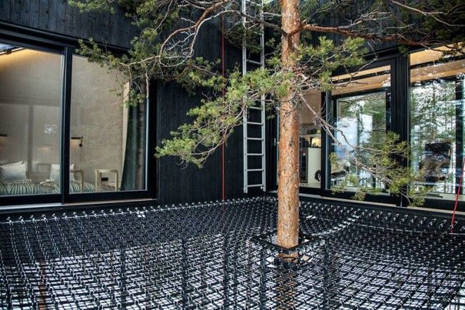 Главная особенность этого отеля открытая терраса с сетчатым основанием с которой можно любоваться северным сиянием Отель дерево швеция