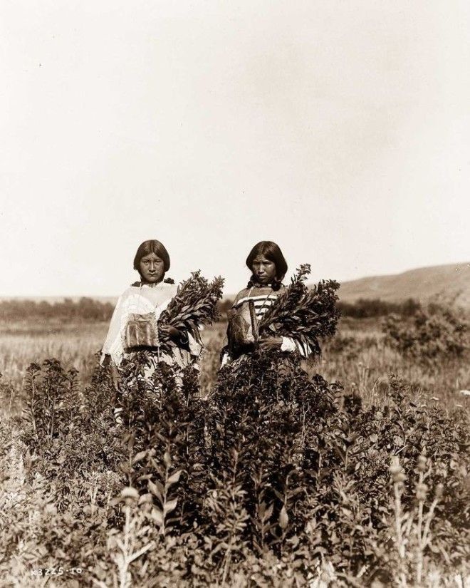 19041924 годы жизнь североамериканских индейцев в фотографиях Эдварда Кёртиса