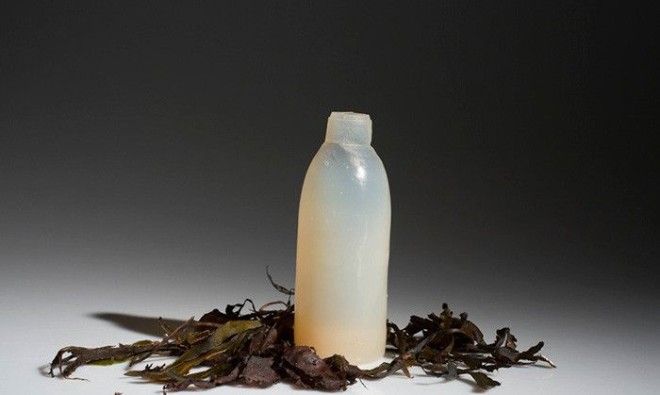 Бутылка из водорослей Ари Йонссон Ari Jnsson