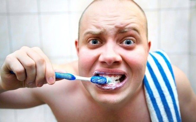 12 фактов о зубах которые должен знать каждый зубы интересное факты