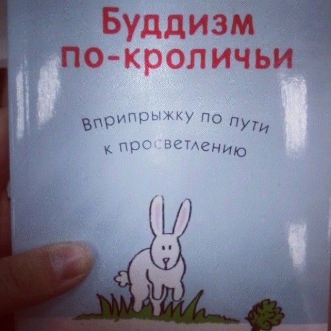 Осторожно на улицах города были замечены кроликибуддисты книги названия прикол