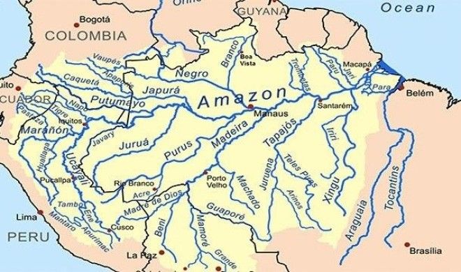 Невероятные факты про Амазонку которые делают её уникальнейшим местом на Земле