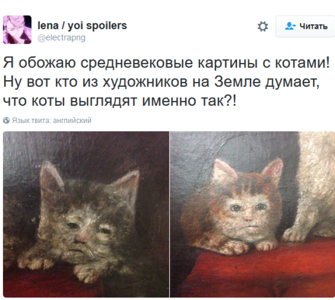 «Мои отношения с кошкой»: шедевральные записи владельцев котиков в соцсетях