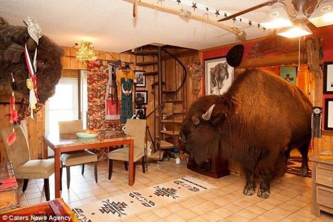 Семейная пара из Техаса держит в доме бизона весом больше тонны