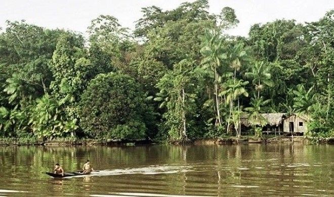 Невероятные факты про Амазонку которые делают её уникальнейшим местом на Земле