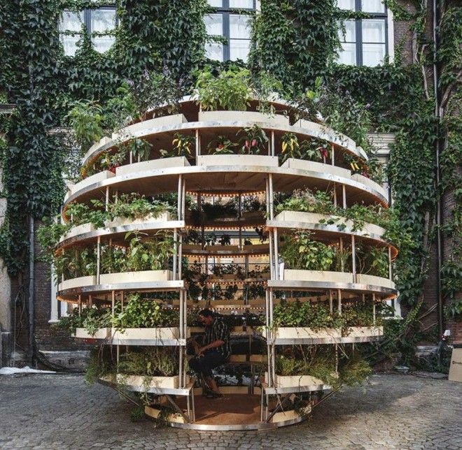 Зелёная комната дизайн вертикального сада при поддержке IKEA ikea дизайн сад цветы