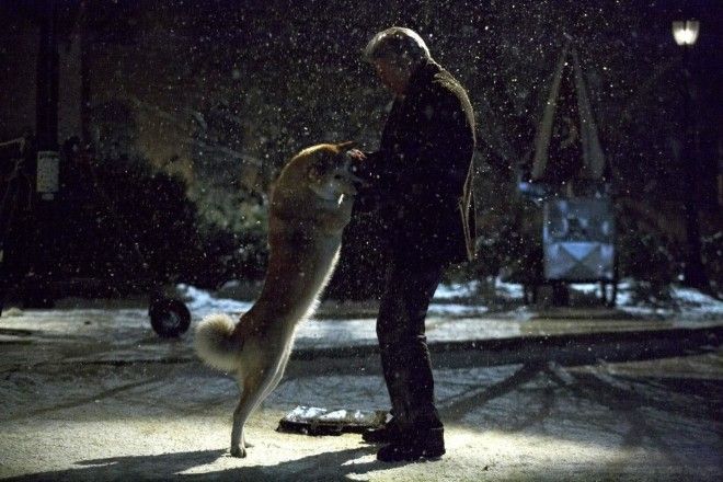 Догшоу 6 лучших фильмов о собаках
