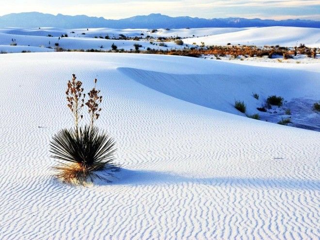 Сказочная красота самых удивительных пустынь