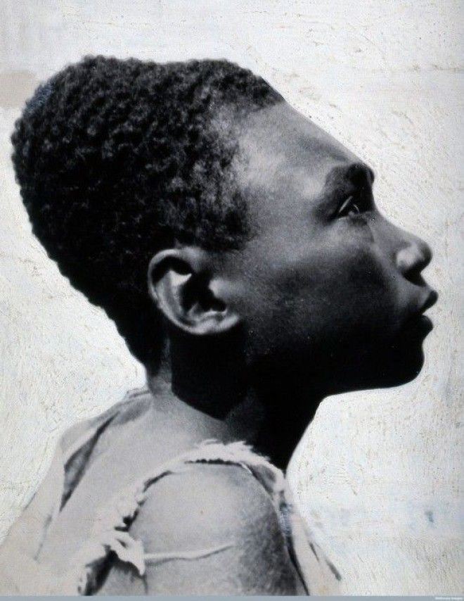 Мужчина с острова Бугенвиль ПапуаНовая Гвинея 1919 год Фото ruwikipediaorg