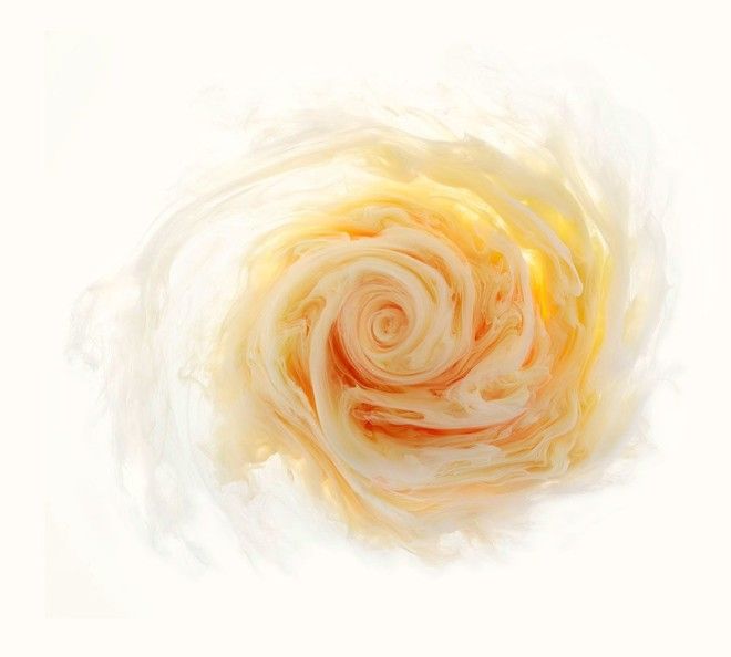 Flowers and Swirls цветы из красителей фотосерия Марк Моусон Mark Mawson