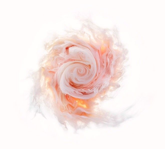 Flowers and Swirls цветы из красителей фотосерия Марк Моусон Mark Mawson