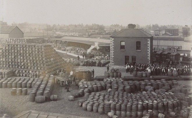 Бочки с пивом марки Guinness Снимок начала XX века Фото censusnationalarchivesie