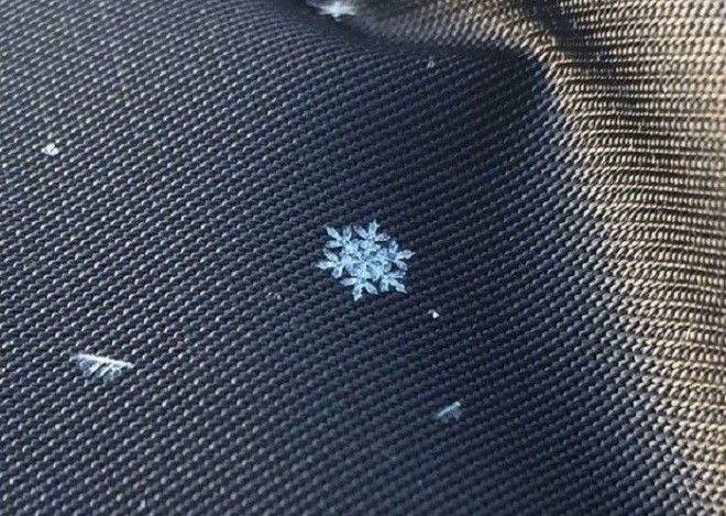 Кристальная снежинка так светится что видно кристаллики льда