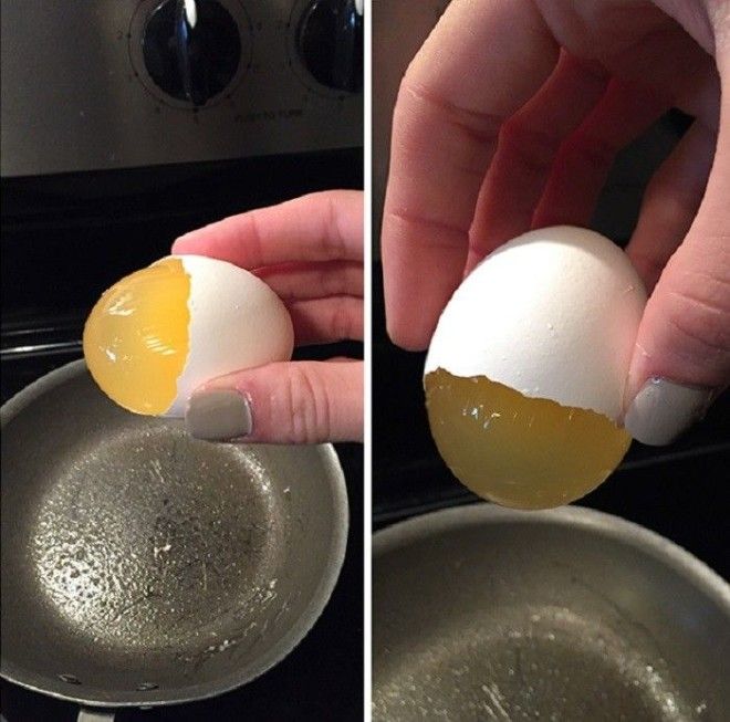 У разломленного яйца желток не деформировался