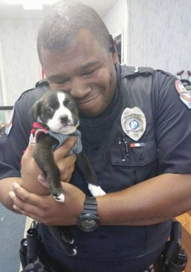 Офицер забрал домой спасенного щенка