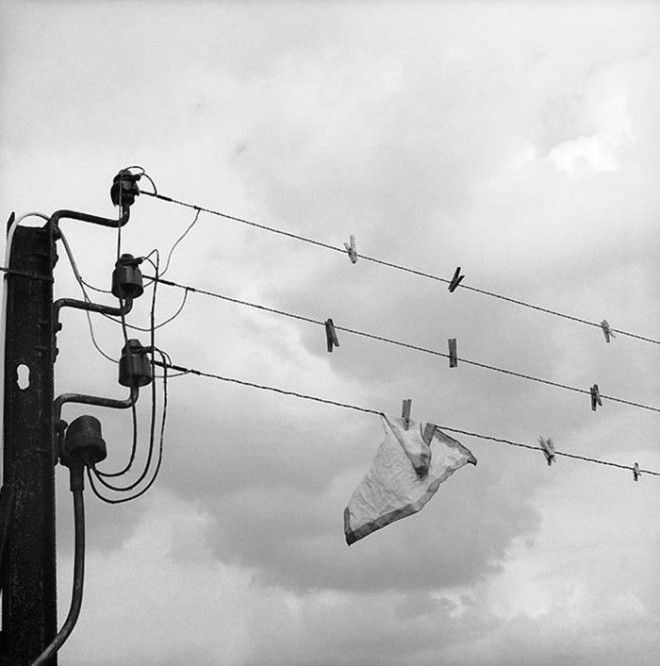 Французское юмористическое фото 1950х забавно рождение жанра смешное фото фотограф