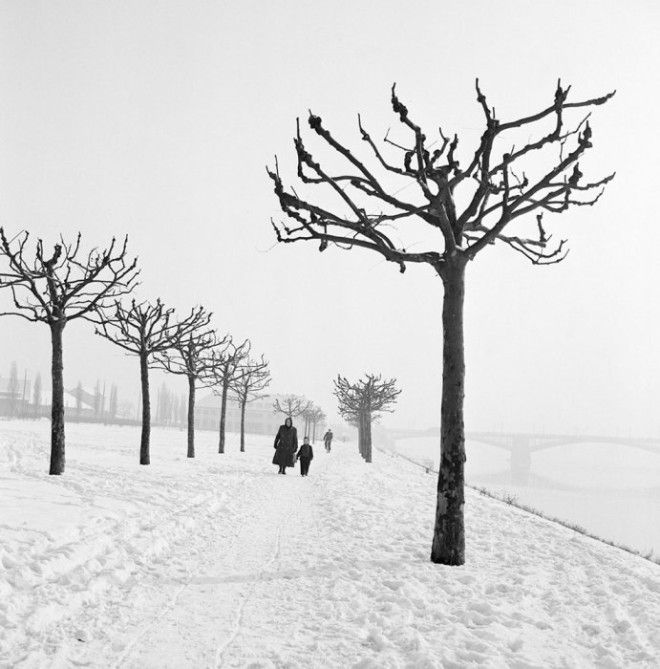 Зимняя прогулка вдоль правого притока Рейна Германия 1955 год