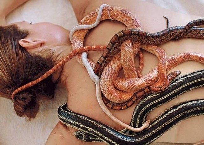 Змеиный массаж Источник фото Bloggaru