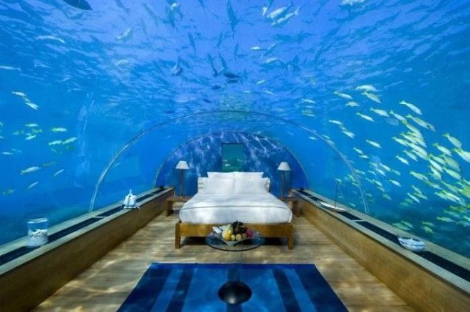 Комната с аквариумом вместо потолка