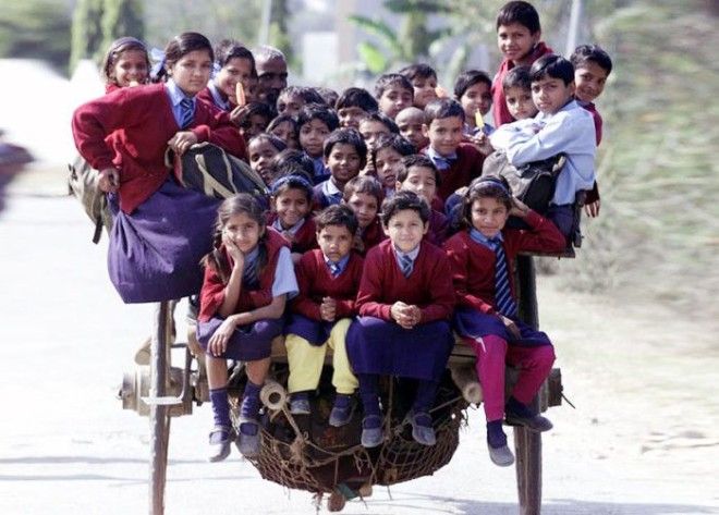 Дети в Дели в Индии добираются в школу на одной повозке