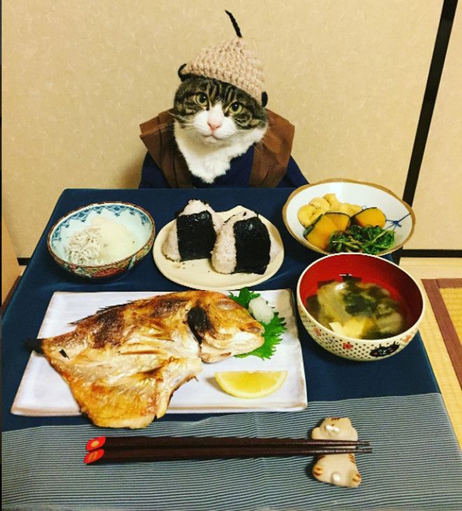 Типичная японская еда Instagram rinne172