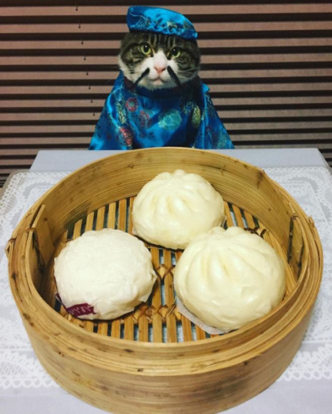 25 января в Японии день китайских булочек на пару Instagram rinne172