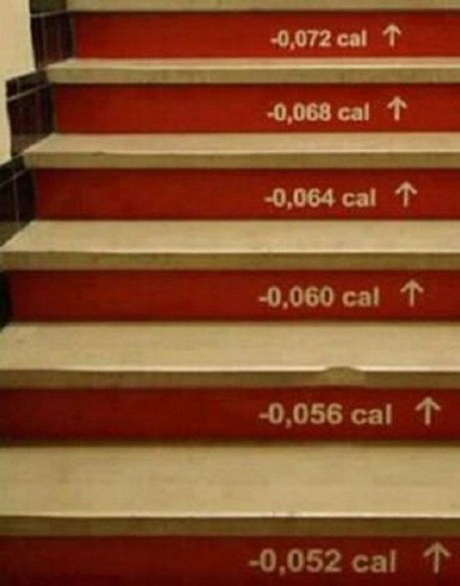 Артобъект Лестница сброшенных калорий