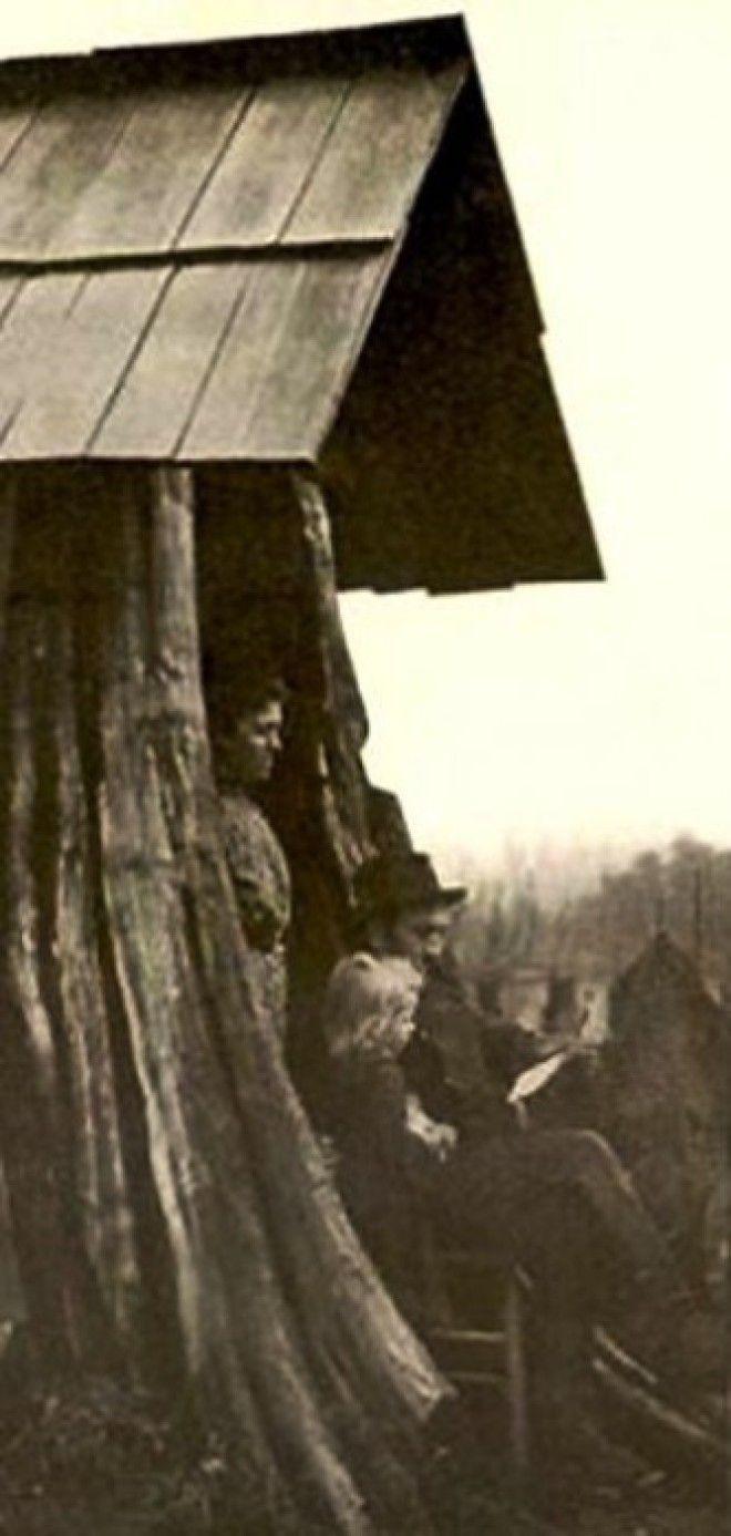 Семья Леннстром живущая в пне Эджком Edgecomb штат Вашингтон 1901 год Фото historylinkorg