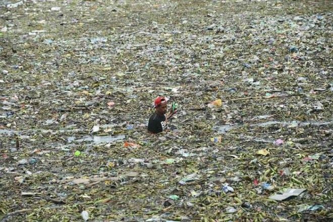 Человек собирает перерабатываемые материалы среди плавающего мусора после тропического шторма Нида