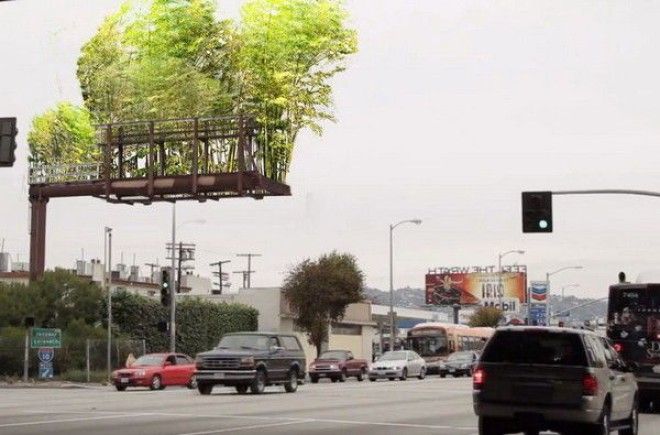 Бамбуковая роща на билборде