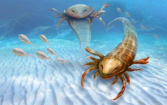 Гигантский морской скорпион гигантские насекомые древние животные интересное история