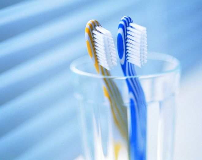 Срок использования зубной щетки