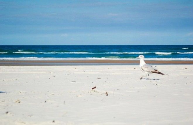 10 живописных пляжей планеты на которых лучше не отдыхать