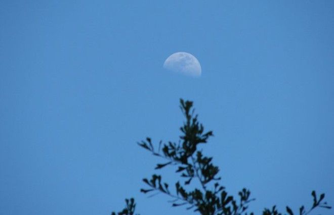 Луна  тоже отнюдь не редкий гость в дневном небе она проявляется с разной частотой и яркостью в зависимости от собственных фаз Легче всего её можно отыскать в новолуние