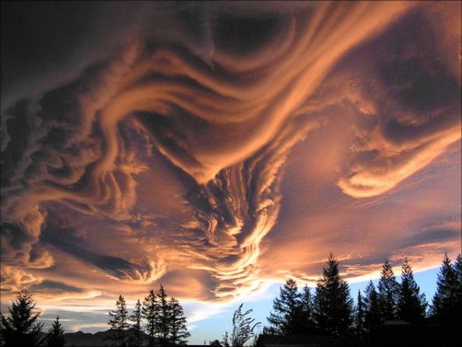 Облако дракон