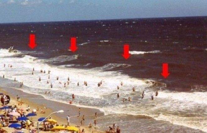 Люди отдыхают на пляже и даже не подозревают какая может быть опасность