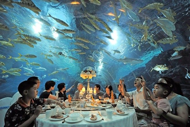 Ресторан под куполом океанариума Haichang Polar Ocean World