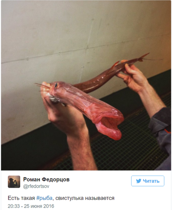 27 невероятных фото сделанных российским рыбаком