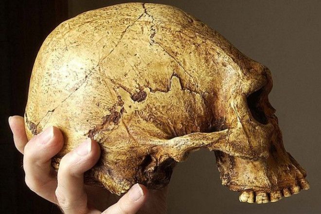 10 древних черепов деформированных по моде