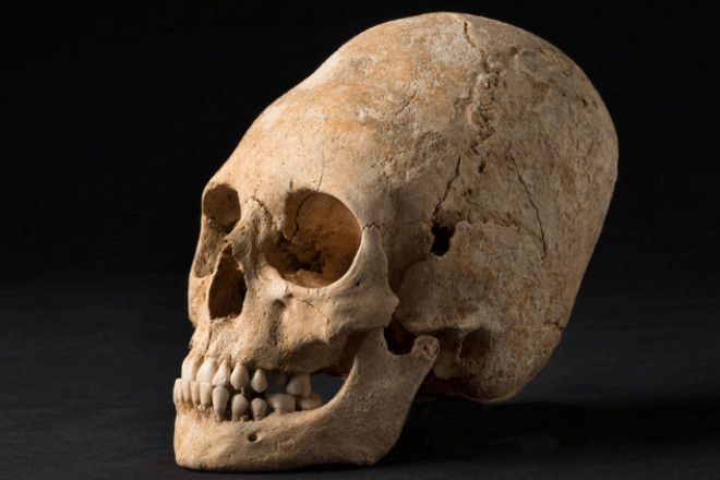 10 древних черепов деформированных по моде