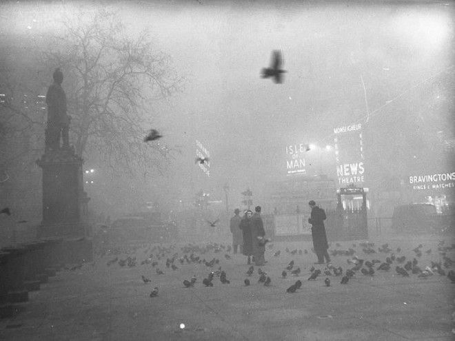 Туман спустившийся на Лондон 5 декабря 1952 года убил 12 тысяч человек