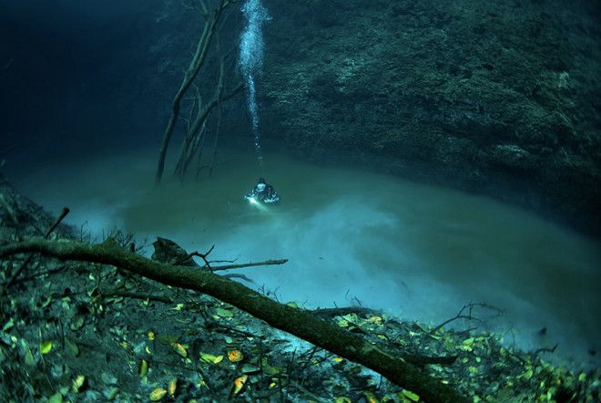 Подземная река Подводная пещера Анхелита в Мексике напоминает раздвоенный мир. Под толщей пресной воды в 30 метров картина походит на земной мир под водой: островки, деревья с опавшей листвой и целая подземная река, представляющая собой слой сероводорода.