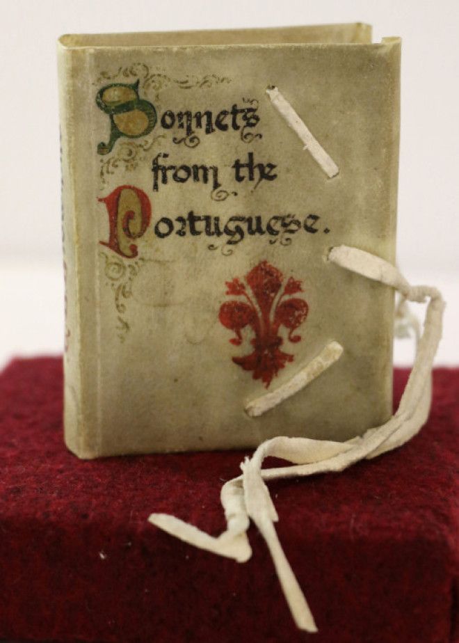 Книга сонетов на португальском языке Венеция 1906 год