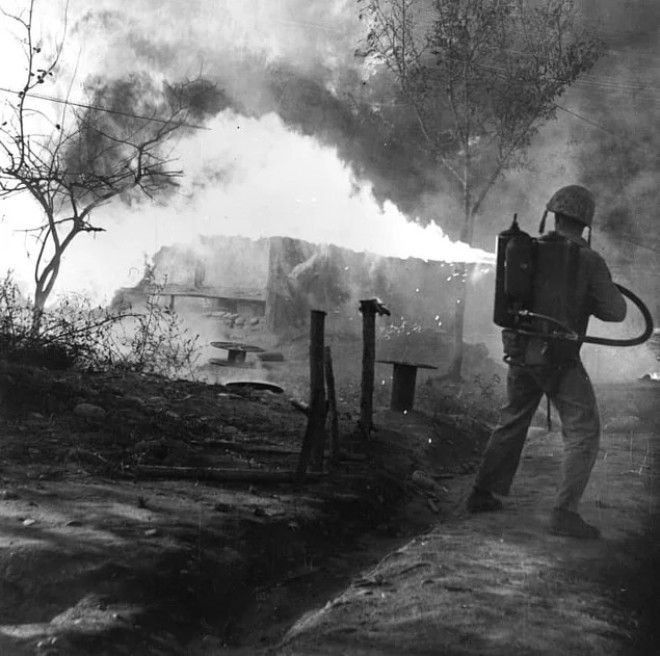Эти 20 апокалиптических фотографий Корейской войны досмотрит не каждый
