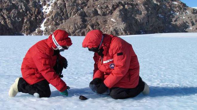 Таинственный древний метеорит В 2015 году ученые НАСА обнаружили в Антарктиде метеорит упавший еще тринадцать тысяч лет назад Оказалось что прилетел он с Марса а внутри сохранились образцы микробов Красной планеты
