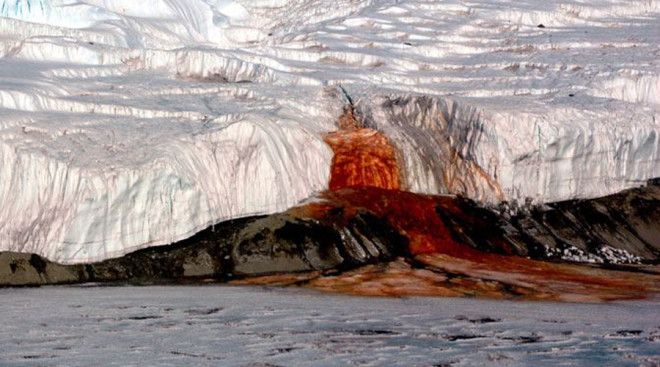 Кровавый водопад Поток кровавокрасной жидкости бьет из ледника Тейлора На самом деле никакой крови тут конечно нет а необычный цвет воде обеспечивает высокое содержание меди Источником воды является озеро за несколько километров от водопада полностью покрытое льдом